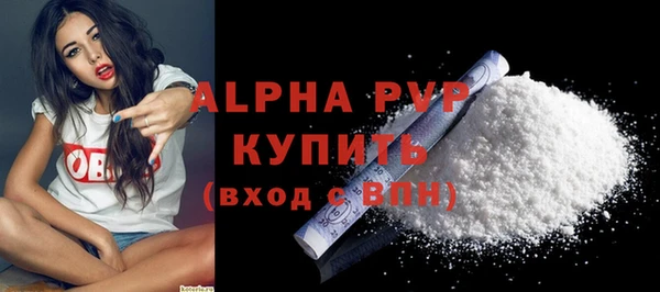ECSTASY Бородино