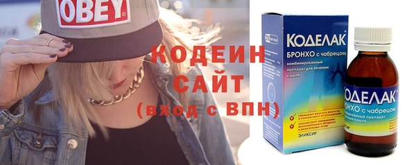 ECSTASY Бородино