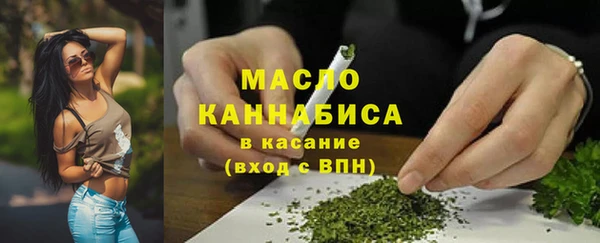 ECSTASY Бородино