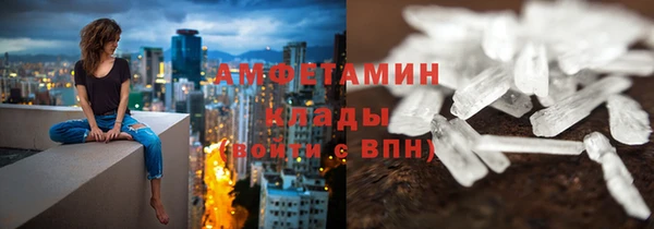 ECSTASY Бородино