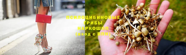 прущий лед Бронницы