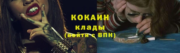 ECSTASY Бородино