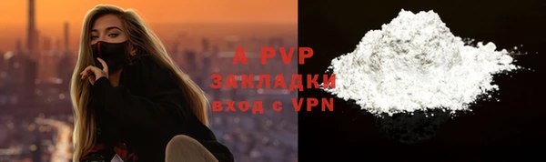 ECSTASY Бородино