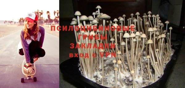 MDMA Premium VHQ Бугульма
