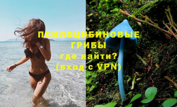 ECSTASY Бородино