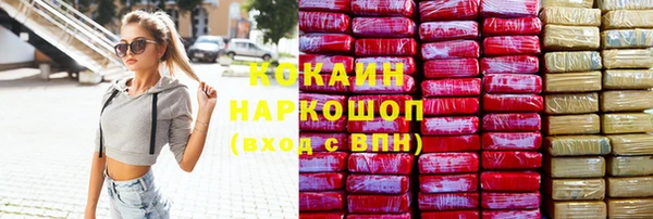 ECSTASY Бородино
